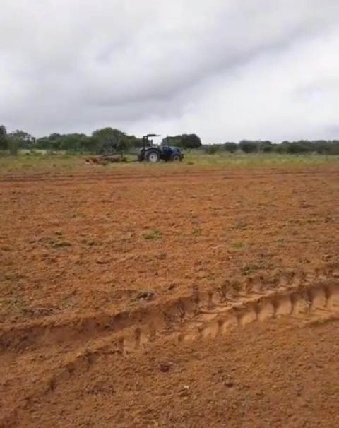Aração