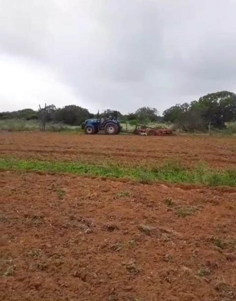 Aração