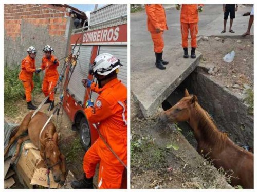 BOMBEIROS