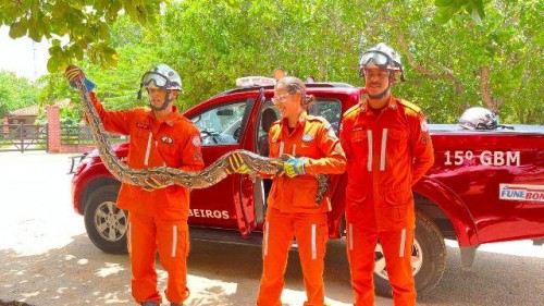 BOMBEIROS: