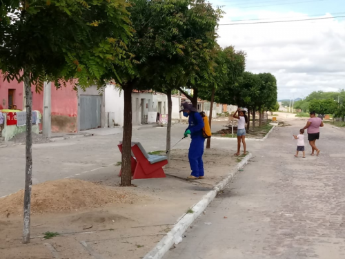 Coronavírus: