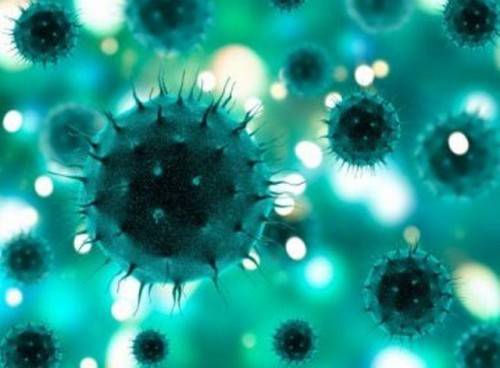 Coronavírus: