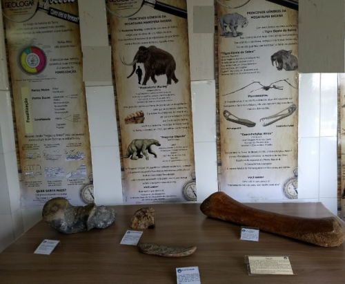 Exposição