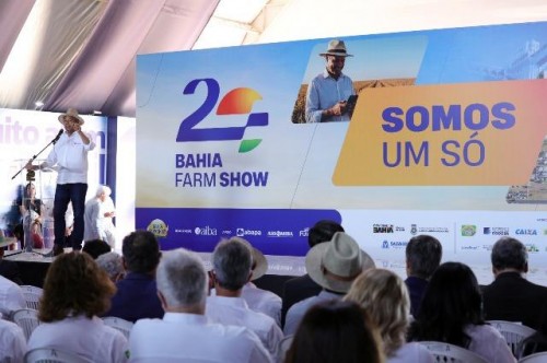 Governador