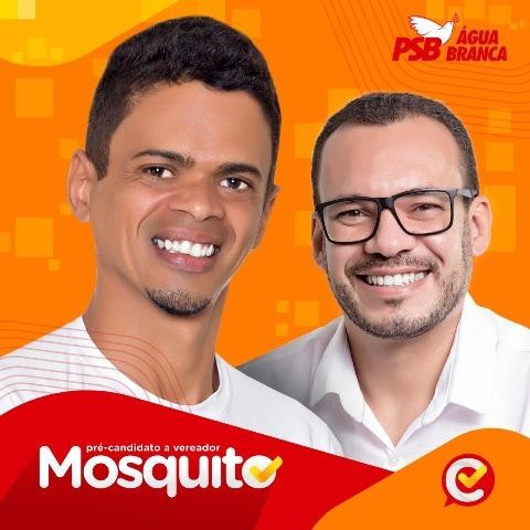Mosquito