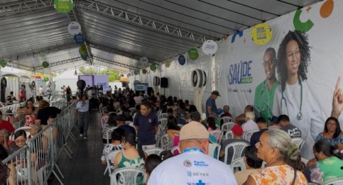 Organização