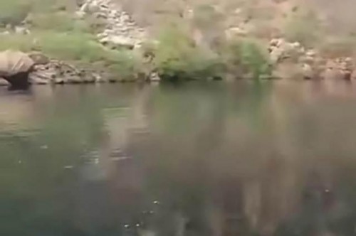 Pescador