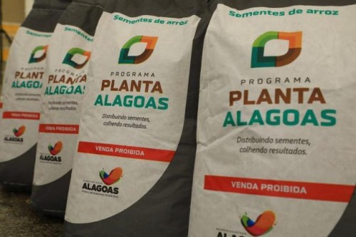 Planta