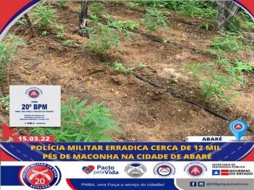 POLÍCIA