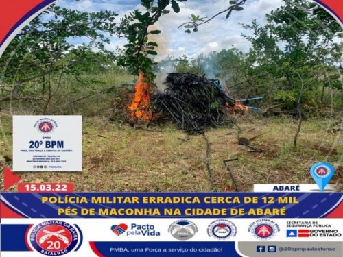 POLÍCIA