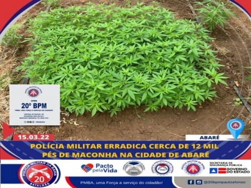POLÍCIA