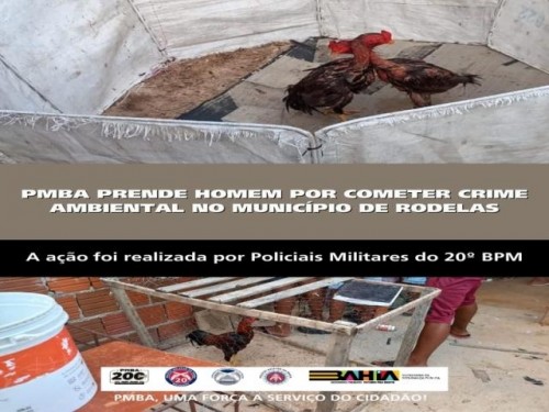 POLICIA