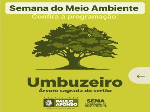 Programação