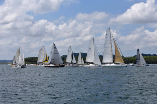 Regata