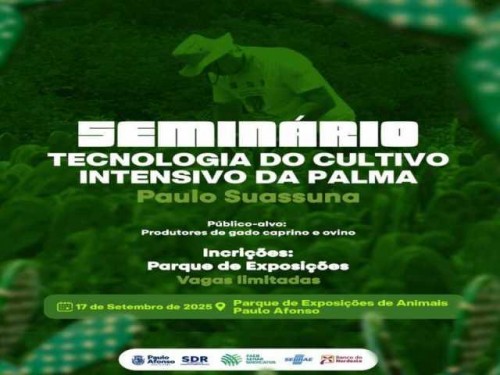 SEMINÁRIO