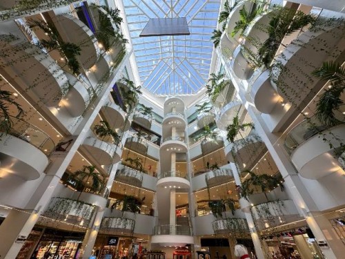 Shopping