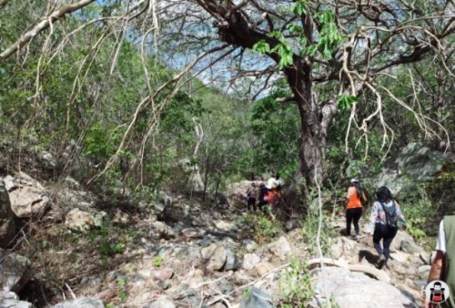 Turistas