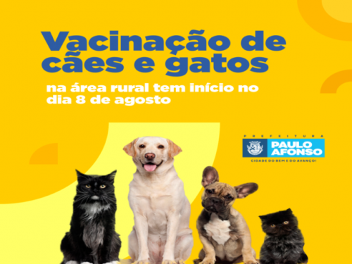 Vacinação