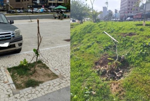 Vandalismo