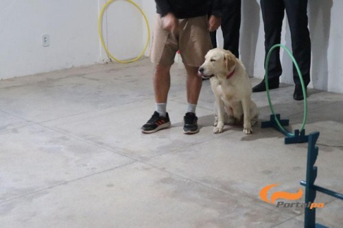 Visita