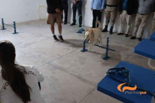 Visita