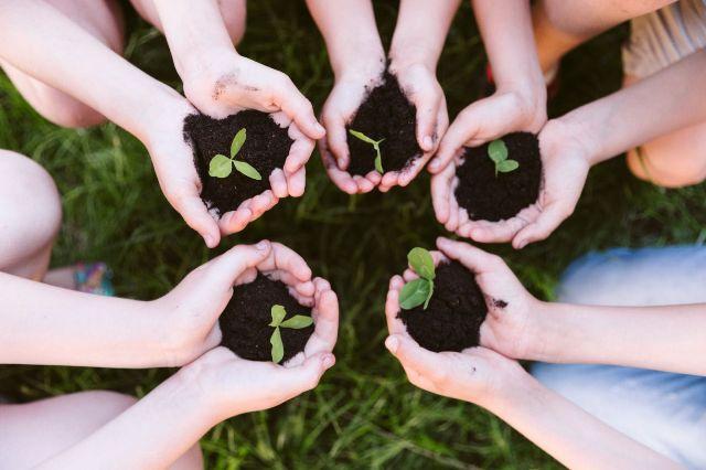 Villa Global Education participa da Semana do Meio Ambiente no Castelo Garcia D’Ávila