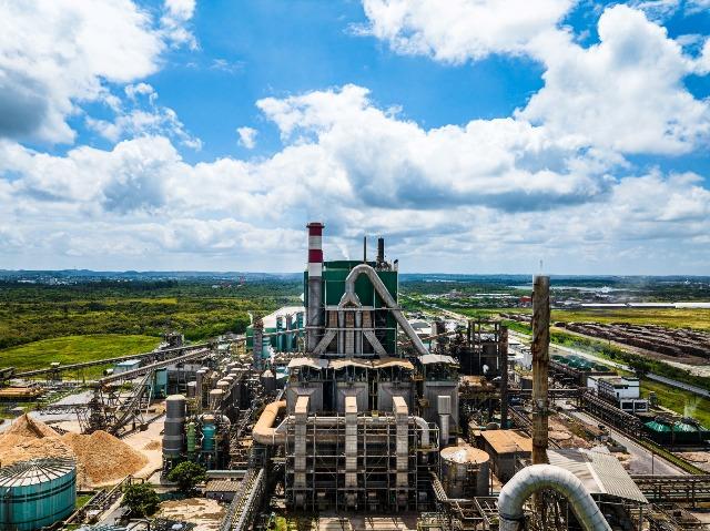 Bracell abre vagas de emprego para Camaçari, Alagoinhas, Entre Rios e Inhambupe; confira