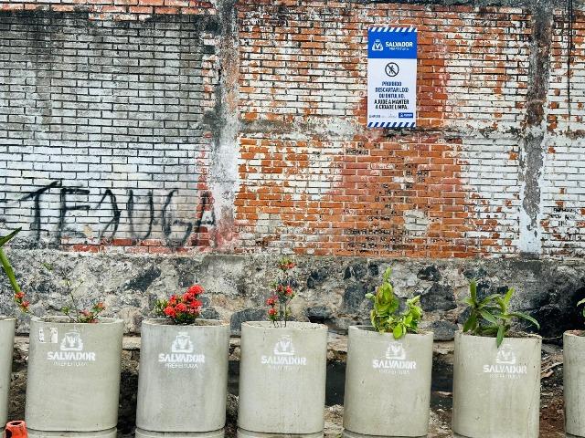 Caminho de Areia ganha novo ponto verde na Rua Jardim Alvalice