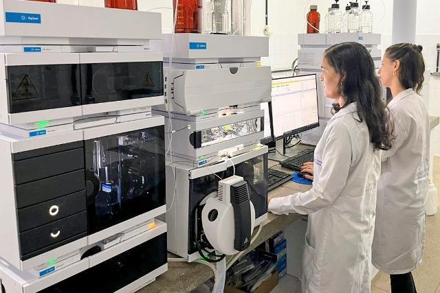 Pesquisadora do Cetab é premiada por estudo sobre abelhas sem ferrão publicado em revista internacional