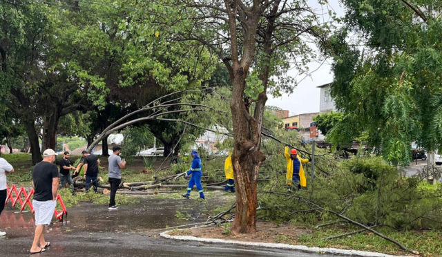 Equipes da Prefeitura atuam para minimizar danos e garantir segurança da população após ventos fortes