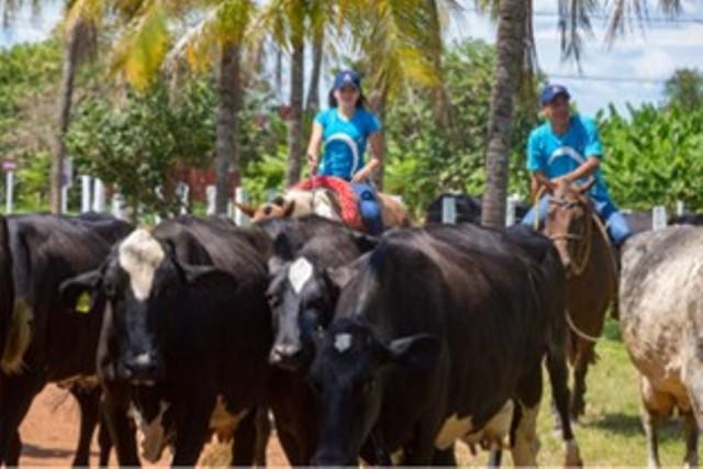 Fundação Bradesco prorroga inscrições para curso técnico de Agropecuária em Feira de Santana (BA)