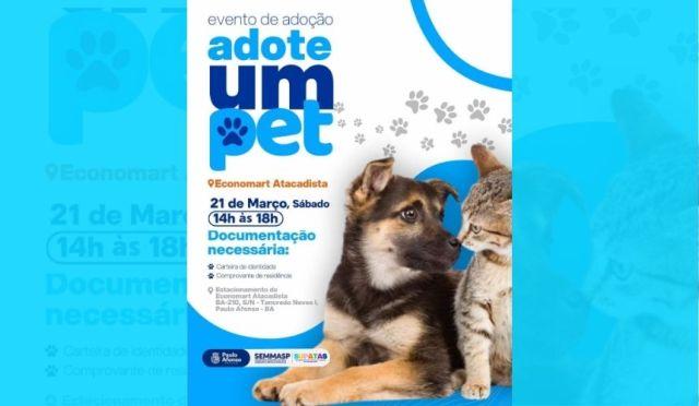 A espera de um lar, cães e gatos estarão em evento de adoção que acontece neste sábado, 21: veja como adotar