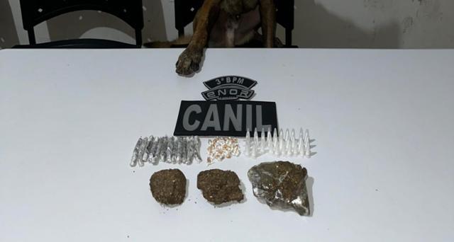 PM-AL apreende 33 armas e quase 14 quilos de drogas em uma semana