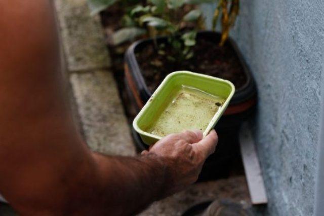 Bahia registra queda de 41% nos casos de dengue em 2026