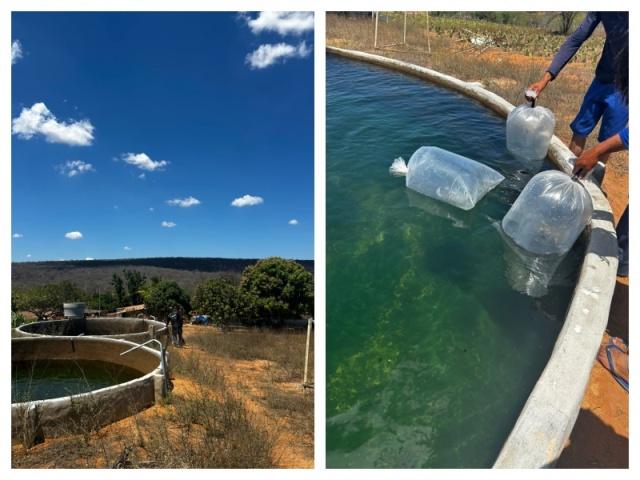 Prefeitura de Glória incentiva a piscicultura e fortalece a produção rural